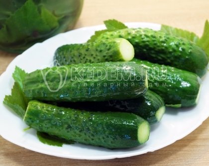 Малосольные огурцы классический рецепт