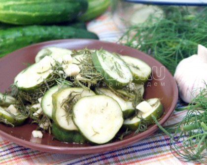 Маринованные огурчики «Быстрые»